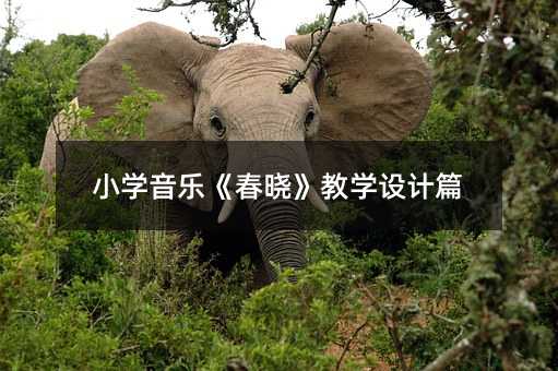 С�W���������ԡ��̌W�OӋƪ