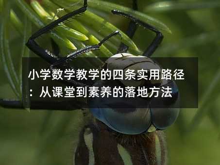 小學(xué)數(shù)學(xué)教學(xué)的四條實(shí)用路徑:從課堂到素養(yǎng)的落地方法