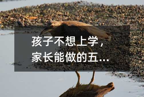 孩子不想上學(xué),家長(zhǎng)能做的五件事