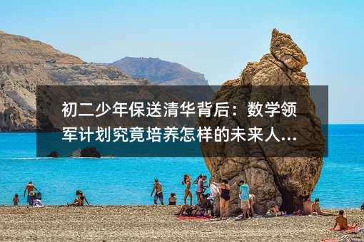 初二少年保送清華背后:數學領軍計劃究竟培養怎樣的未來人才?