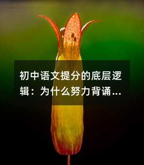 初中語文提分的底層邏輯:為什么努力背誦卻不見成效?