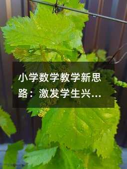 小學數學教學新思路:激發學生興趣的實用方法
