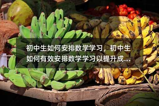 初中生如何安排數學學習,初中生如何有效安排數學學習以提升成績?