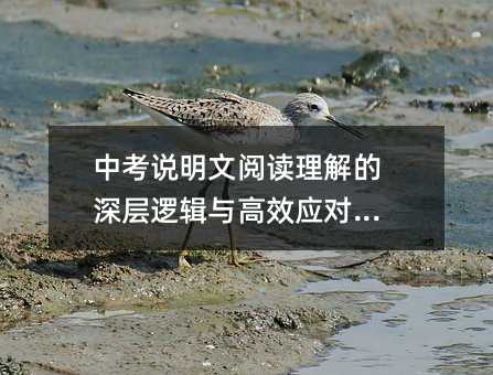 中考說(shuō)明文閱讀理解的深層邏輯與高效應(yīng)對(duì)策略
