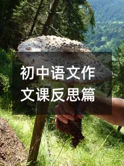 初中語文作文課反思篇