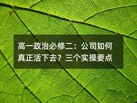 高一政治必修二:公司如何真正活下去?三個實操要點