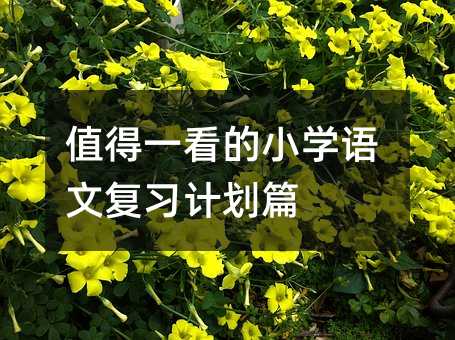 值得一看的小學語文復習計劃篇