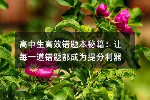 高中生高效錯題本秘籍:讓每一道錯題都成為提分利器