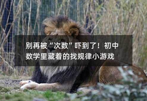 別再被“次數”嚇到了!初中數學里藏著的找規律小游戲