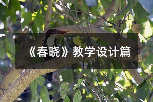 《春曉》教學(xué)設(shè)計(jì)篇