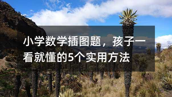 СW(xu)(sh)W(xu)D}һͶ5÷