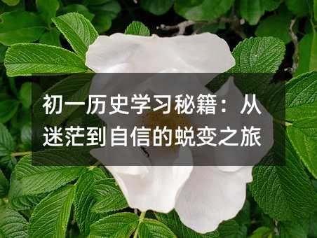 һvʷW(xu)(x)ؼãŵ͑׃֮