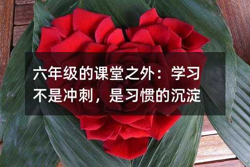 六年級的課堂之外:學習不是沖刺,是習慣的沉淀