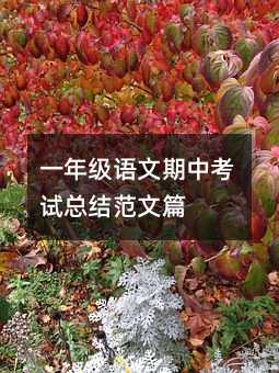 一年級語文期中考試總結范文篇