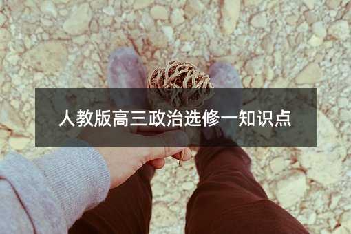 人教版高三政治選修一知識點