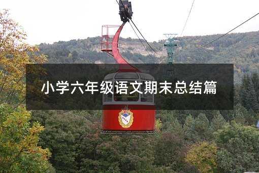 小學(xué)六年級(jí)語(yǔ)文期末總結(jié)篇