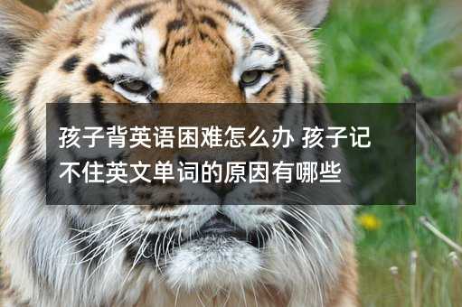 ӱӢZyôk ӛסӢĆ~ԭЩ