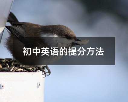 初中英語的提分方法