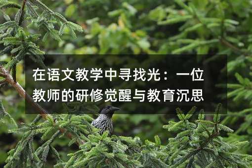 在語文教學中尋找光:一位教師的研修覺醒與教育沉思
