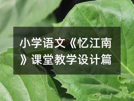 СW(xu)Zġϡný̌W(xu)O(sh)Ӌƪ