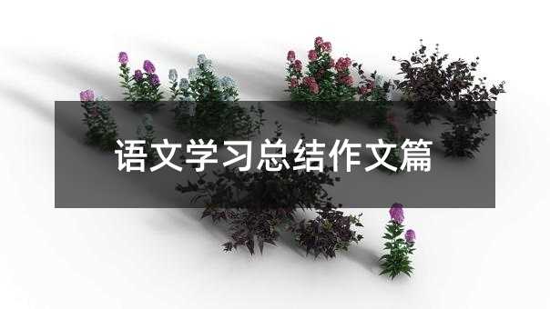 語文學(xué)習(xí)總結(jié)作文篇