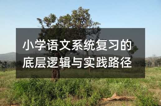 小學(xué)語文系統(tǒng)復(fù)習(xí)的底層邏輯與實(shí)踐路徑