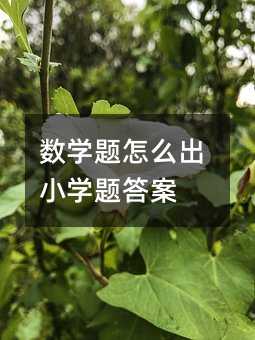 數學題怎么出小學題答案