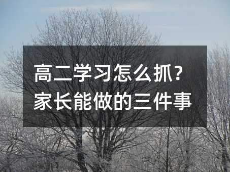 高二學習怎么抓?家長能做的三件事