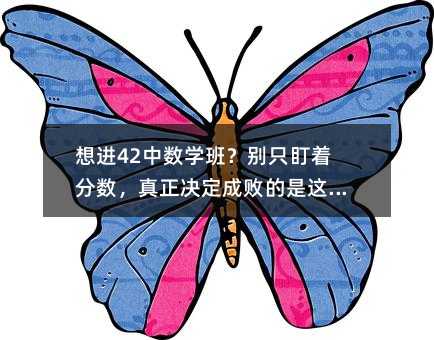 想進42中數(shù)學班?別只盯著分數(shù),真正決定成敗的是這五件事