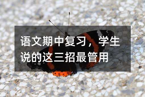 語文期中復習,學生說的這三招最管用