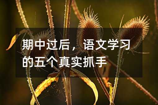 期中過后,語文學(xué)習(xí)的五個真實抓手