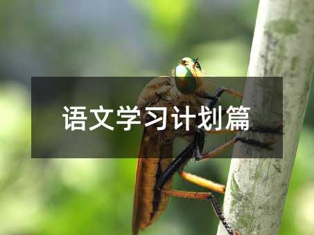 語(yǔ)文學(xué)習(xí)計(jì)劃篇