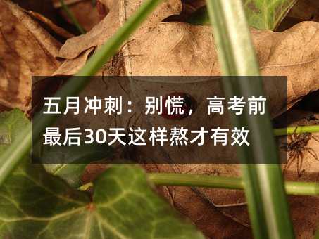 五月沖刺:別慌,高考前最后30天這樣熬才有效