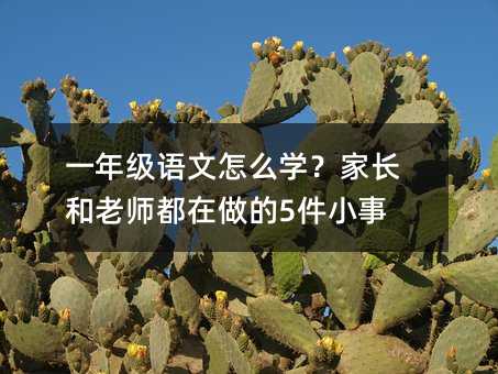 һ�꼉�Z����ô�W�����L���ώ���������5��С��