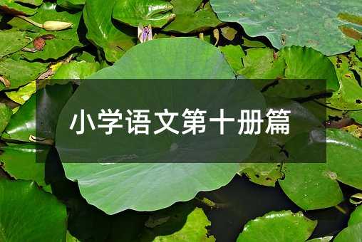 小學語文第十冊篇