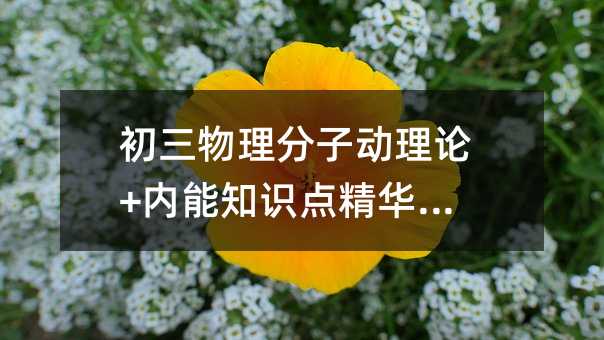 初三物理分子動理論+內能知識點精華串講