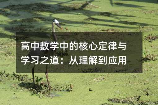 高中數(shù)學中的核心定律與學習之道:從理解到應用