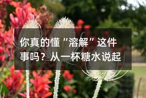 你真的懂“溶解”這件事嗎?從一杯糖水說起