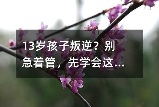 13歲孩子叛逆?別急著管,先學(xué)會這四件事