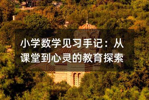 小學數學見習手記:從課堂到心靈的教育探索