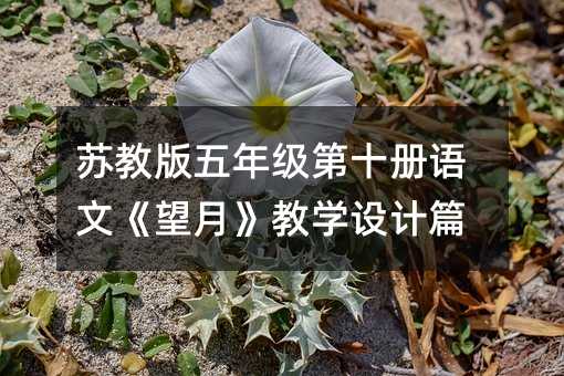 蘇教版五年級第十冊語文《望月》教學設計篇