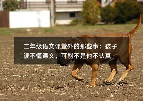 二年級語文課堂外的那些事:孩子讀不懂課文,可能不是他不認真