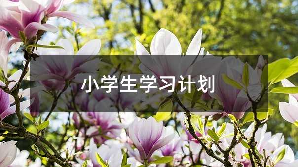 小學(xué)生學(xué)習(xí)計(jì)劃