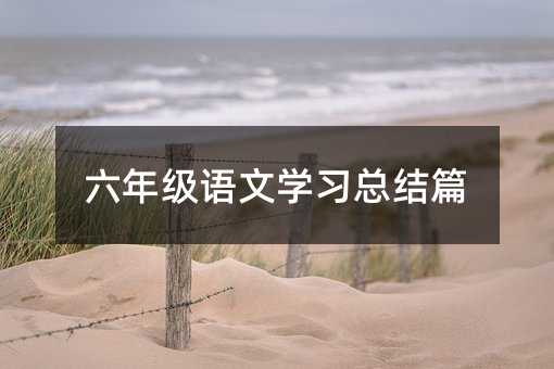 六年級(jí)語(yǔ)文學(xué)習(xí)總結(jié)篇