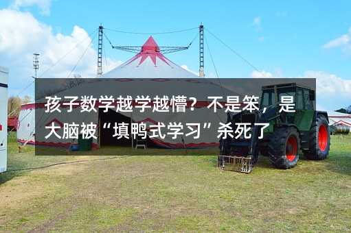 孩子數(shù)學越學越懵?不是笨,是大腦被“填鴨式學習”殺死了