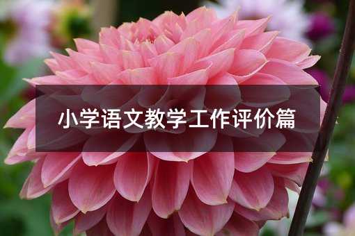 小學語文教學工作評價篇