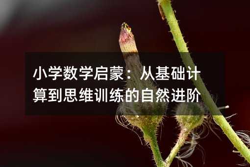 小學數學啟蒙:從基礎計算到思維訓練的自然進階