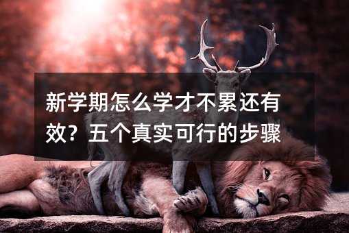 新學(xué)期怎么學(xué)才不累還有效?五個真實可行的步驟