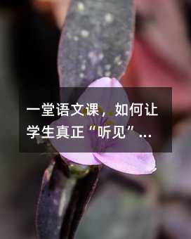 一堂語文課,如何讓學生真正“聽見”文字