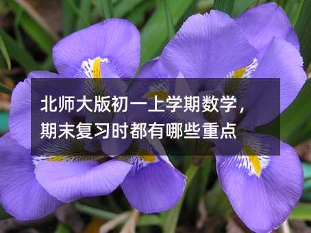 北師大版初一上學期數學,期末復習時都有哪些重點